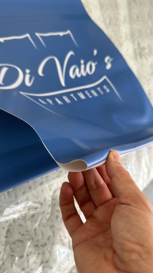 Gasthuis Di Vaio's *